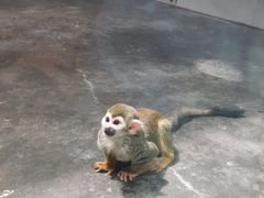 -西安秦岭野生动物园