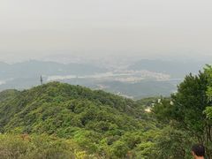 -梧桐山风景名胜区