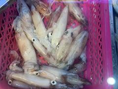 -星奇缘·海鲜餐厅(东山美食地标店)