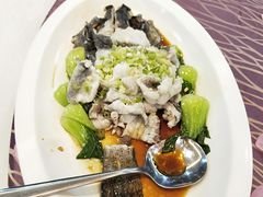 -欢乐海岸美食联盟