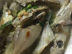 -蛇口康乐快餐鱼仔档(翠苑小区店)