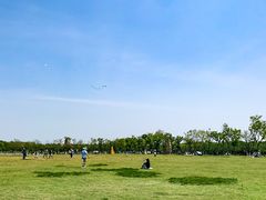 -上海海湾国家森林公园