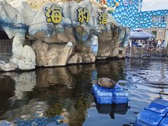 -华夏文旅海洋公园