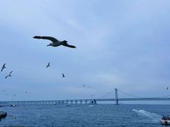 -星海广场