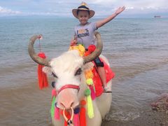 -青海湖国家重点风景名胜区