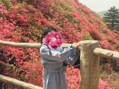 -木兰云雾山