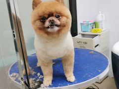 -创凡宠物医院·骨专科  猫科中心(西乡分院)