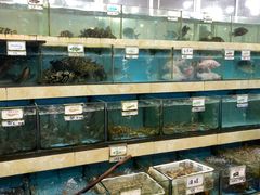 水产区-秋姐美食店(旅游大道店)
