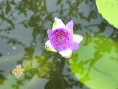 -苏州上方山国家森林公园