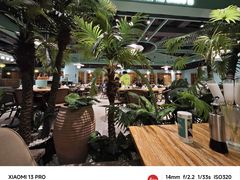 -春润大地海南椰子鸡(沙井京基百纳广场店)