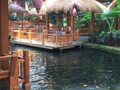 -南宫五洲植物乐园