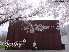 -龙美术馆(西岸馆)