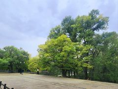 -北陵公园