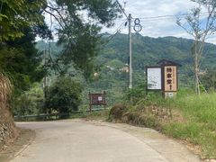-杨家堂村
