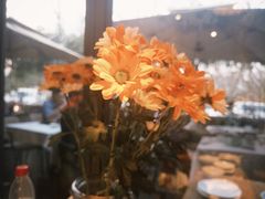-春暖花开(西溪店)