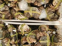 -阳澄湖大闸蟹·琼灵阁牌品牌连锁(吴中总店)