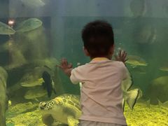 -上海长江河口科技馆