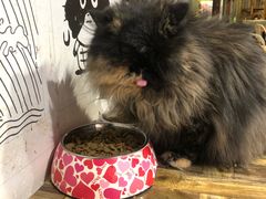 -小时光咖啡馆(开森度假森林店)