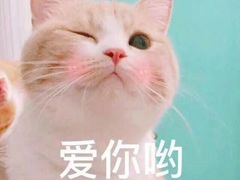 -星巴克(武汉保利时代)