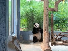 -海南热带野生动植物园