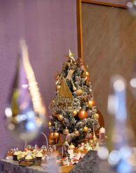 -花隐·美芙炫海菲秀皮肤管理中心