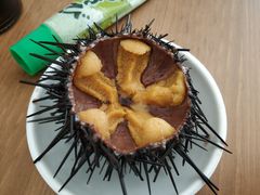 -海胆小馆(东北水饺·春柳店)