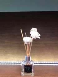 -FineYoga梵音瑜伽·普拉提