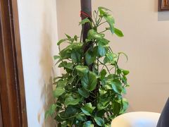 -天和晟烤鸭店(玉泉西街店)