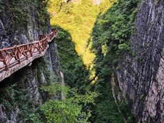 -鹿院坪生态旅游景区