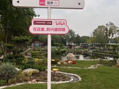 -合肥滨湖国家森林公园