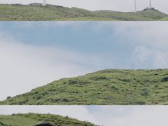 -仰天湖大草原
