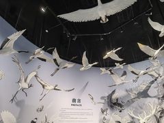 -中国湿地博物馆