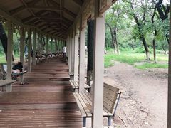 -高尔山公园