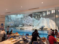 -帝企鹅自助餐厅•儿童岛•真企鹅(长隆企鹅酒店)