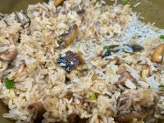 -红星光发煲仔饭(文海店)