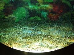 iphone_upload_pic-辉哥火锅(虹桥路店)