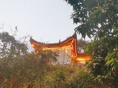 -巴倒烫陆派重庆火锅(南山店)