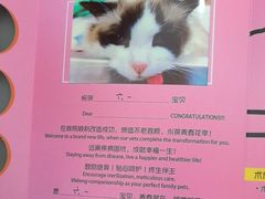 -艾贝尔宠物医院·24H转诊中心·肿瘤猫专科(江宁双龙店)