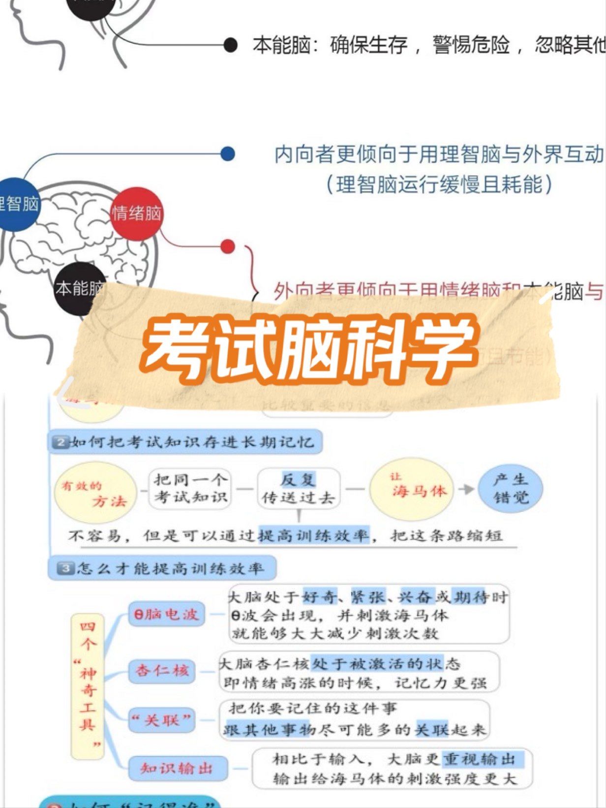 考试脑科学