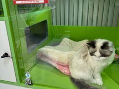 -唐小姐の猫狗洗护·购宠旗舰店(周浦万达店)