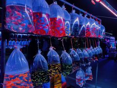 -华声天桥民俗文化园