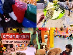 -顺德南宏海立方海洋公园
