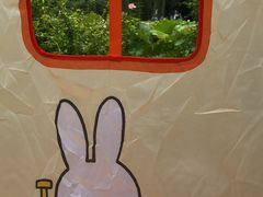 -金银湖国家城市湿地公园