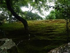 -豆政(金閣寺境内売店)