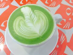 抹茶拿铁-吉丁鸟咖·异宠·寄养