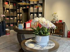 -王德传茶庄(上海新天地店)