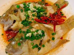 -老淳安—伴山伴湖(千岛湖开元度假村店)