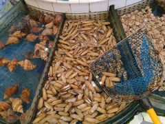 -益利大酒楼(井岸店)