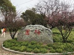 -上海海湾国家森林公园