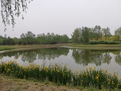 -东郊湿地公园